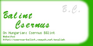 balint csernus business card