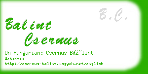 balint csernus business card